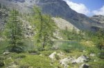 Lac Noir (m 2150) (5681 bytes)